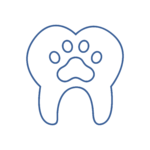 ODONTOSTOMATOLOGIA