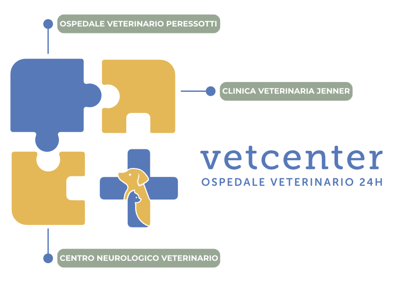 chi-siamo-unione-strutture-vetcenter-parma Illustrazione di un puzzle che mostra l'unione delle tre strutture veterinarie nell'Ospedale Veterinario 24H VetCenter di Parma