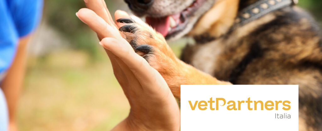 Cane che da la zampa_VetPartners Italia Primo piano di una mano e una zampa di un cane che si toccano. In basso a destra il logo di VetPartners Italia