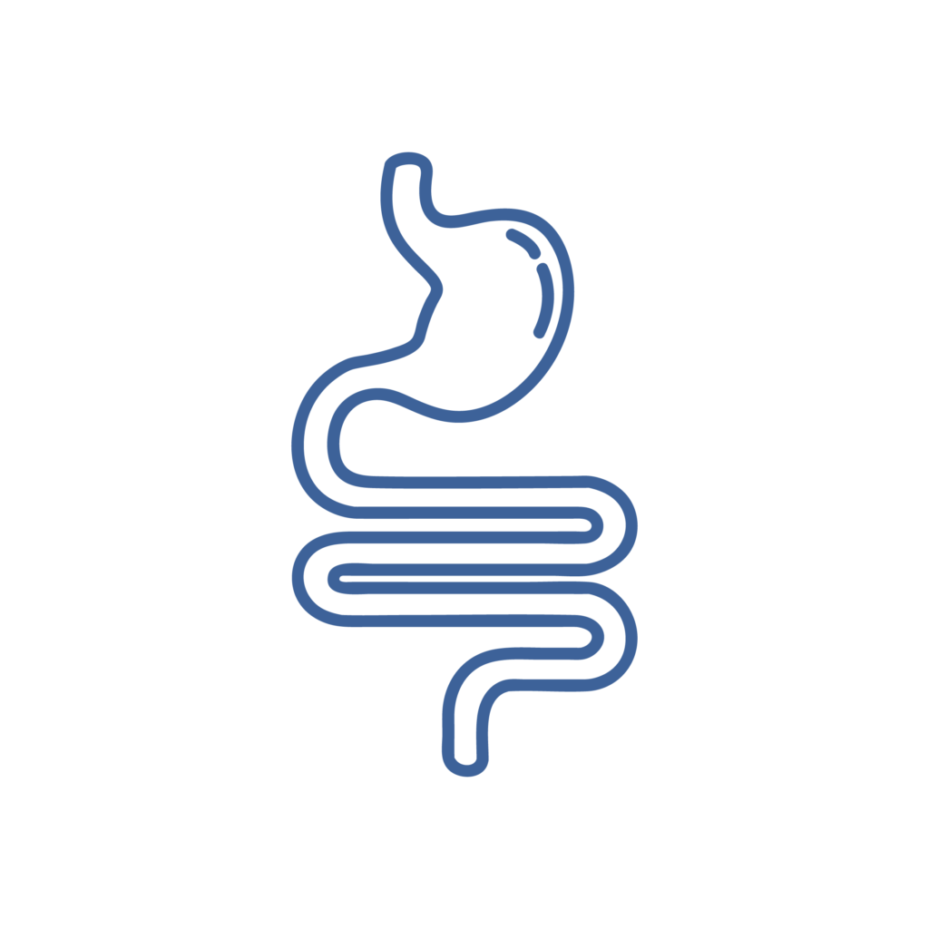 LAPAROSCOPIA Icona di un intestino, a indicare l'eccellenza della chirurgia laparoscopica mininvasiva presso il Vetcenter Parma.